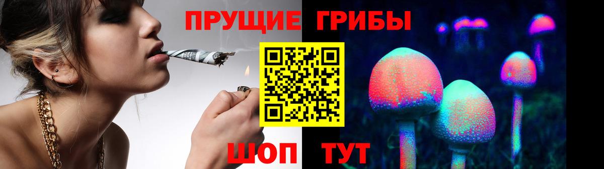 Псилоцибиновые грибы Psilocybine cubensis Полысаево